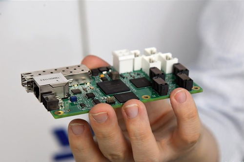 北京城市副中心東南生態(tài)門戶景觀正式開放，智慧化信息系統(tǒng)集成服務(wù)提升游園體驗(yàn)